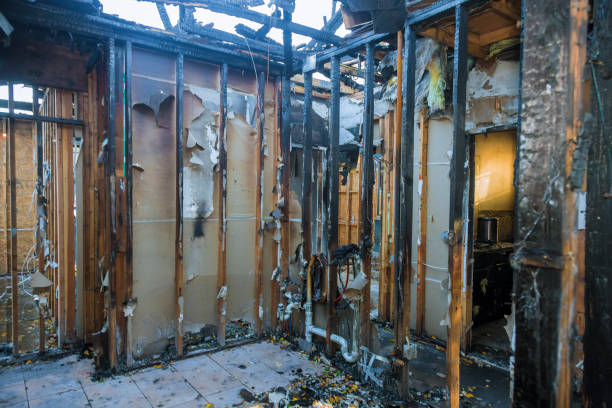 Professional Fire Damage Assessment technician working in Primera, TX